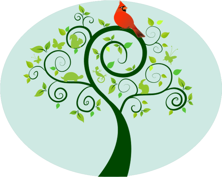 Nursery School - Hıdırellez (800x639), Png Download