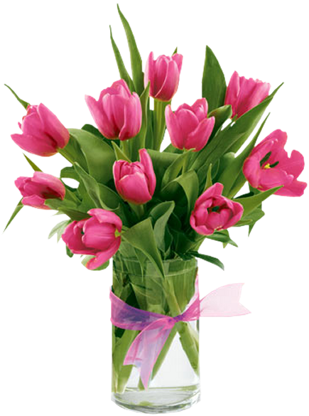 Beautiful Spring Tulips From Spring Flowers - Pink Tulips Flowers In Vase (435x585), Png Download