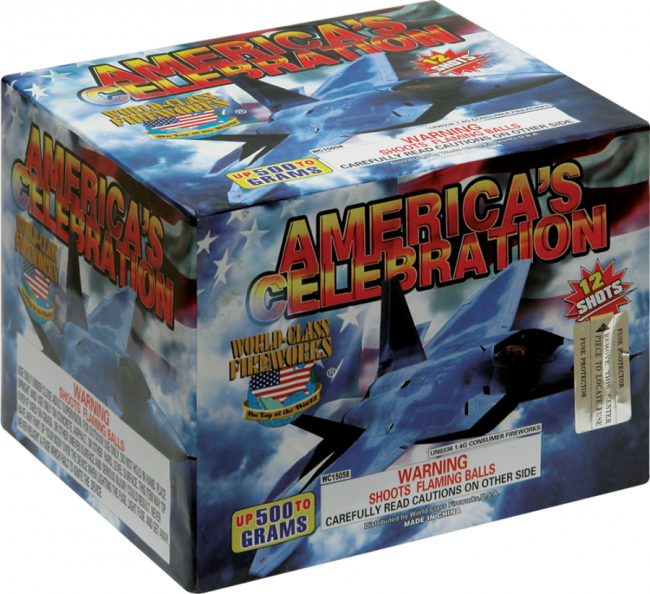 America's Celebration - Fighter Aircraft (650x594), Png Download