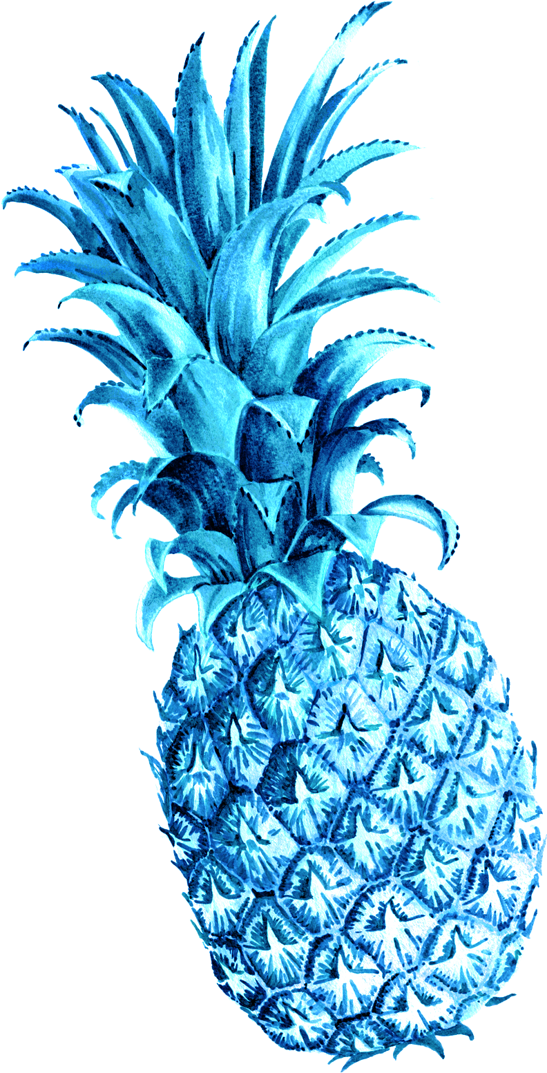 Pineapple (949x1693), Png Download