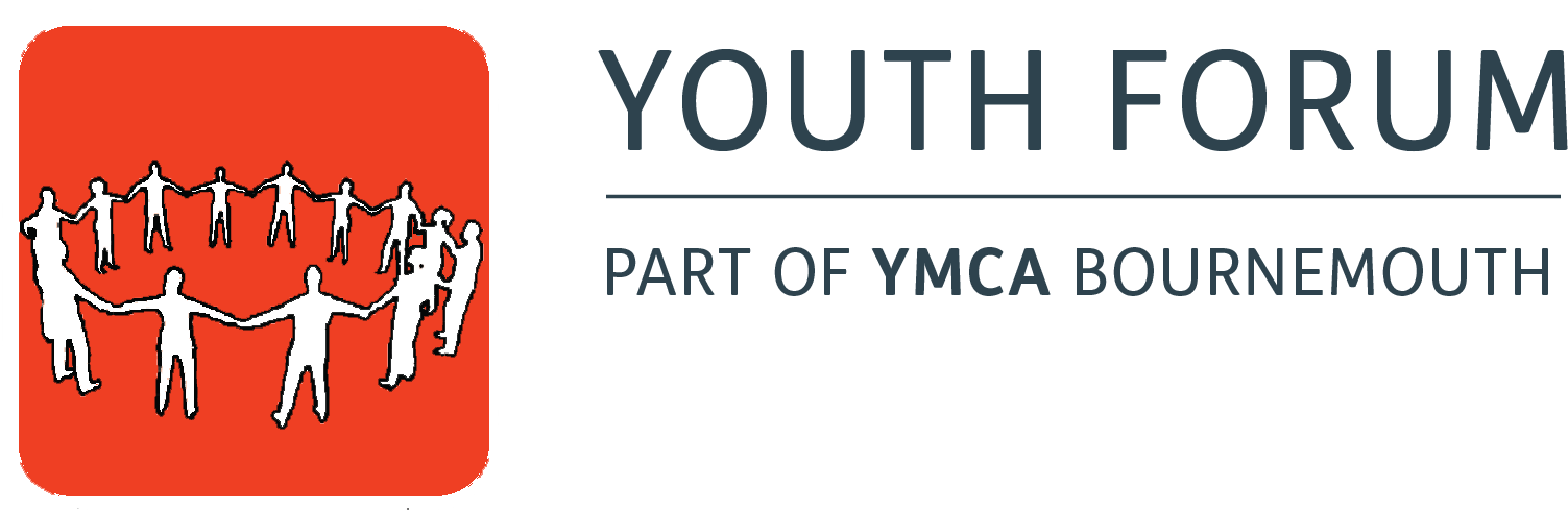 The Youth Forum Is A Steering Group Made Up Of Young - Graphic Design (1549x591), Png Download