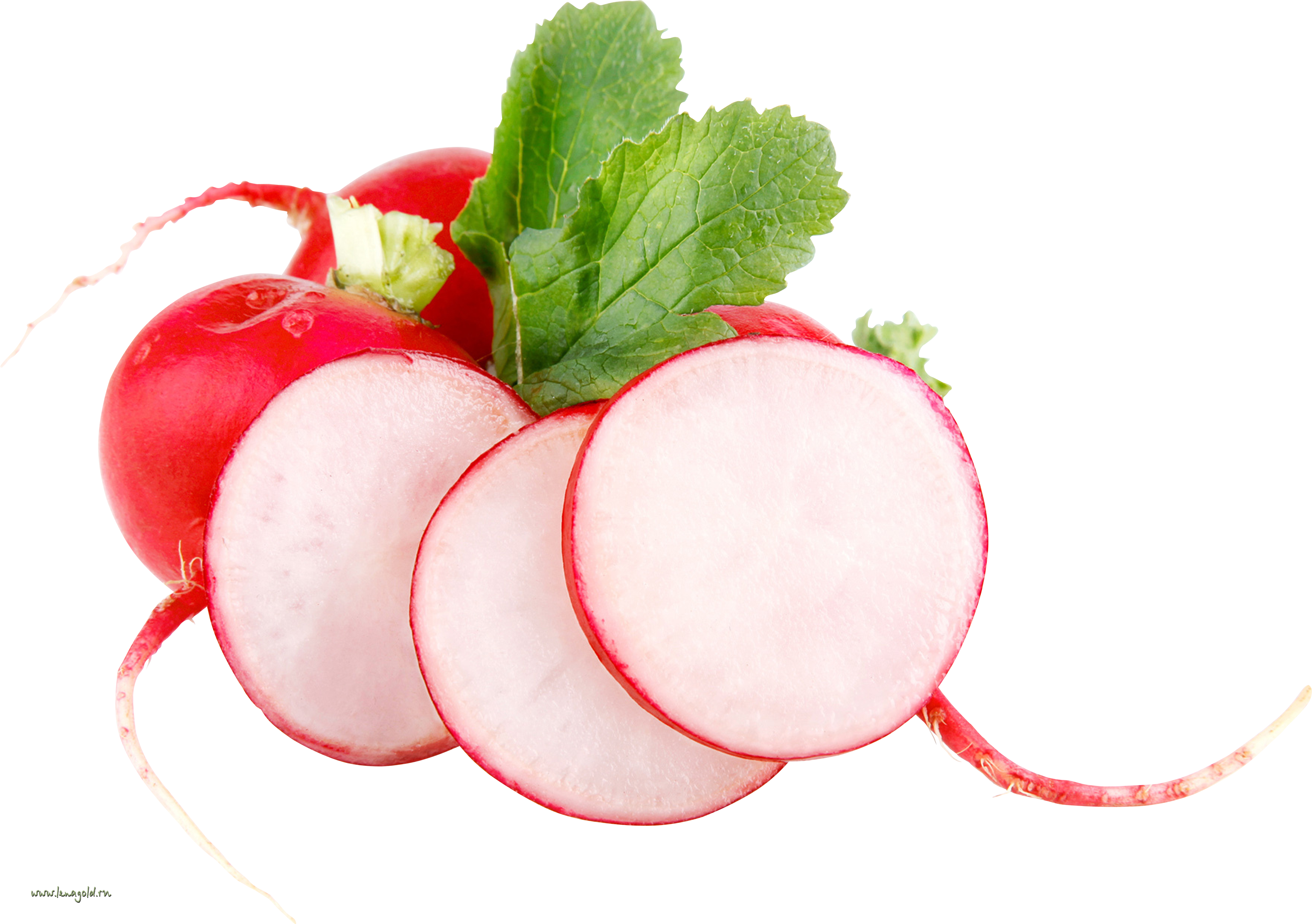 Radish Png - Rediska Png (3449x2429), Png Download