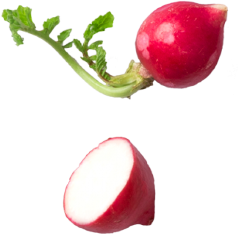 Radish - Vegetable (866x650), Png Download