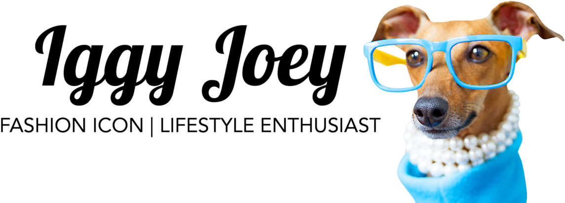 Famous Italian Greyhound, Fashion Icon & Lifestyle - Morning Journal - Intelligent Green: Blank Lined Journal (1280x442), Png Download