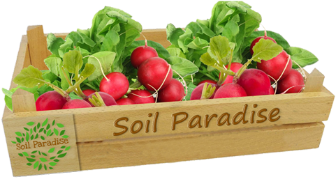Fresh Lemonfresh Tomato - Box (600x600), Png Download