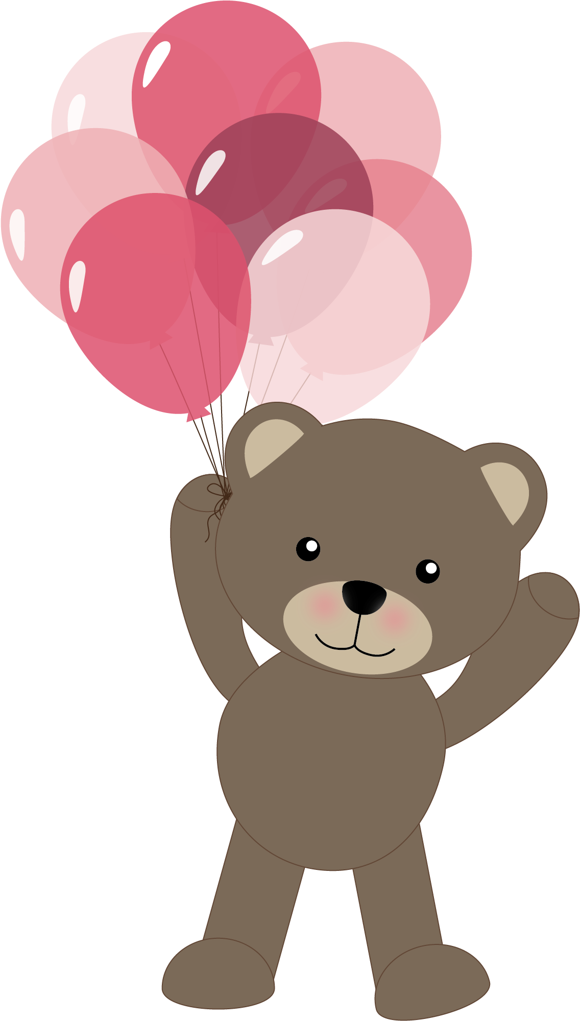 B *✿* Bear Clipart, Bear Vector, Teddy Bear Drawing, - Bear (1163x2033), Png Download