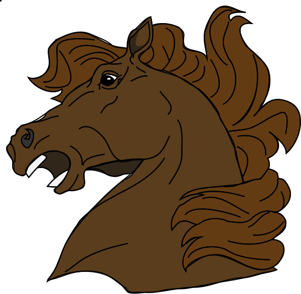 Horse - Horse Head (600x586), Png Download