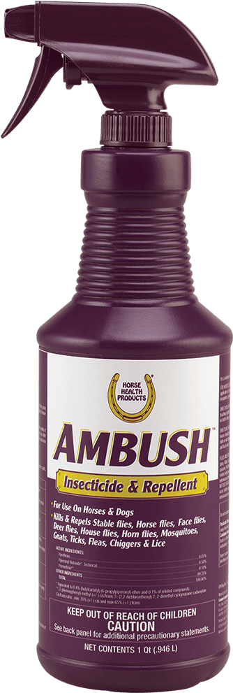 Fly Protection For Your Horses And Dogs - Farnam Ambush Insecticide & Repellent Spray 32 (1000x1000), Png Download