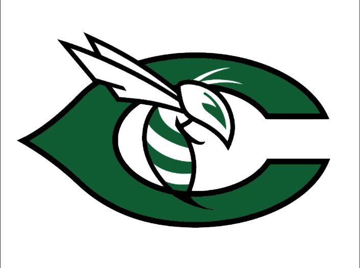 Carter Hornets - Carter High School Hornets (705x526), Png Download