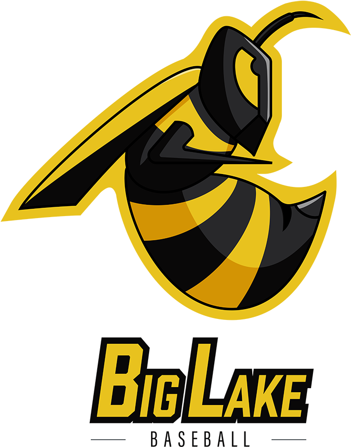 Hornet Png Logo (1000x1000), Png Download