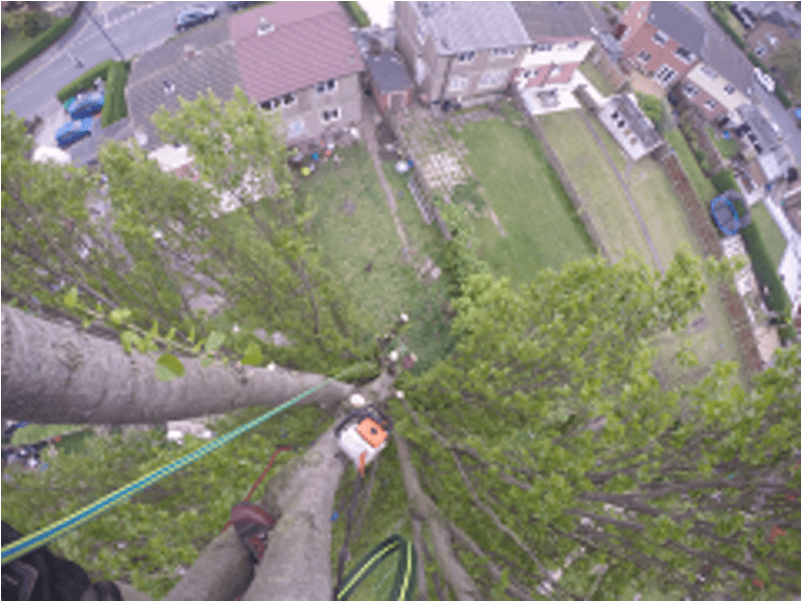 Aerial Photography (800x800), Png Download