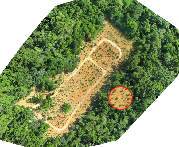 June 15, 2018 - Aerial Photography (583x480), Png Download