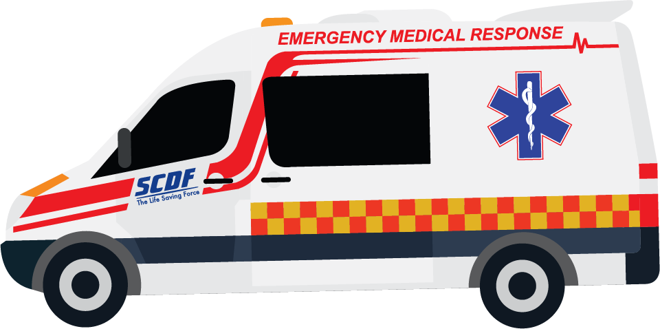 Ambulance Icon - Star Of Life Ornament (oval) (960x478), Png Download
