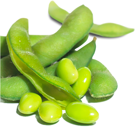 Green Bean Png - Soy Beans Transparent (455x435), Png Download
