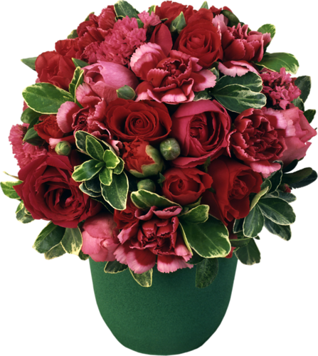 Floral Arrangement - Бордовые Пионы Фон (447x500), Png Download
