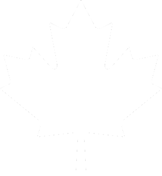 Photo - White Maple Leaf Png (530x574), Png Download