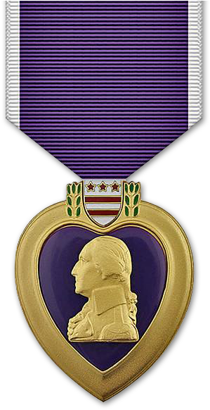 Cmp Fh2 - Purple Heart Day (400x600), Png Download