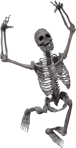 Skeleton Png - Skeleton Transparent (1024x645), Png Download
