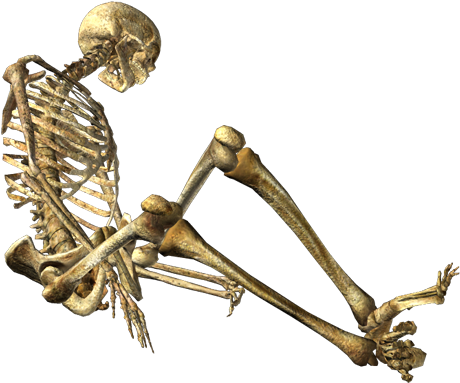 Кости Пнг (500x397), Png Download