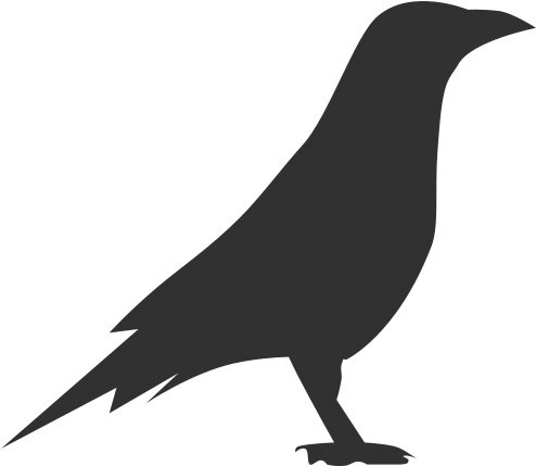 Raven Icon (500x500), Png Download