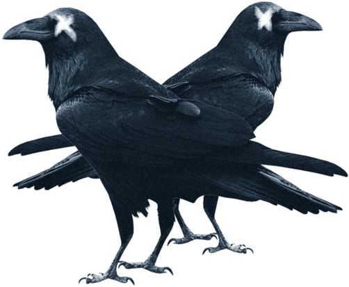 Raven Updated (1000x1000), Png Download