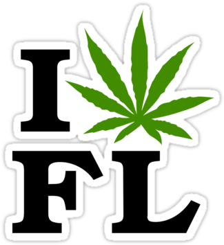 Florida Governor Signs Medical Marijuana Legislation, - Florida Marijuana (375x360), Png Download