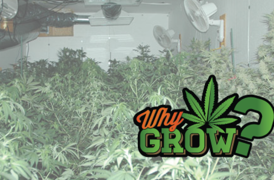 Grow Basement (960x630), Png Download