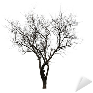 Pintura De Arbol Sin Hojas (400x400), Png Download