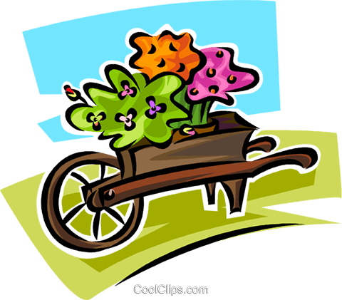 Flowers In A Wheelbarrow - Carrinho De Flores Png (480x421), Png Download
