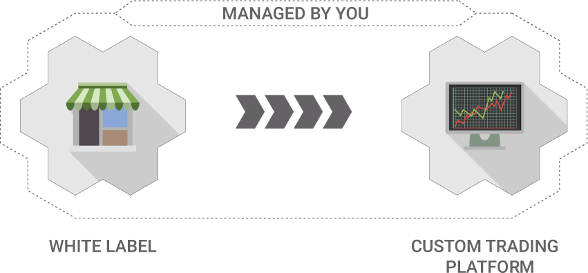 The Way To Succeed In Forex White Tag Business - Foreign Exchange Market (851x395), Png Download