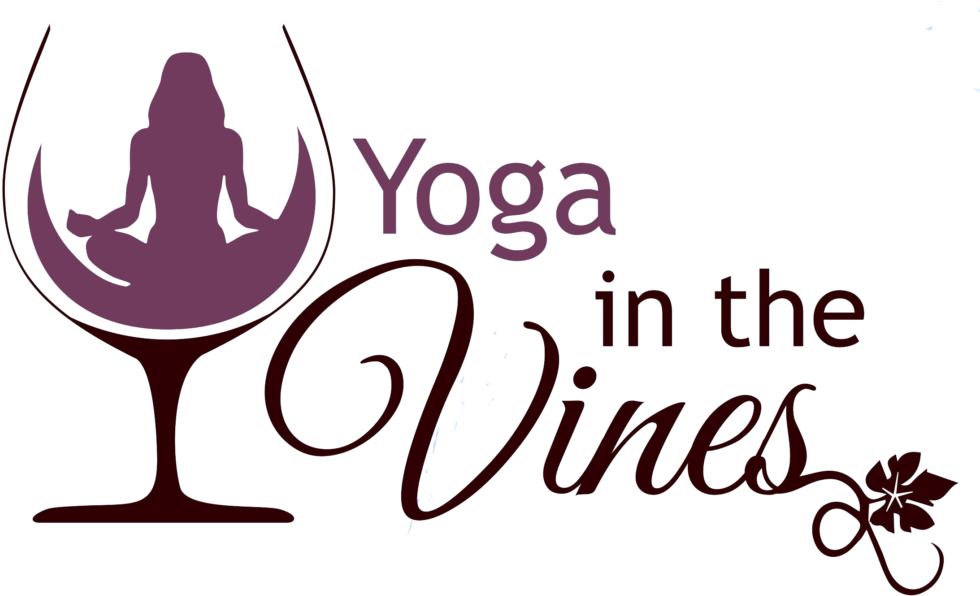 Yoga In The Vines Logo - Wine Yoga (1024x602), Png Download