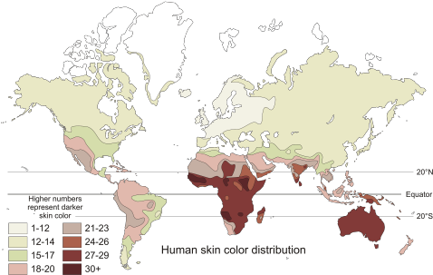 Mapamundi Con La Distribución Del Color De La Piel - World Map Chocolate (500x309), Png Download