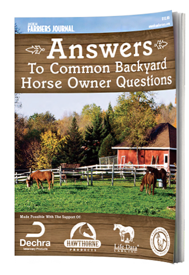American Farriers Journal's Special 14-page Eguide - Peterson, Tracie: Ein Neuer Traum Erwacht (3. Band) (400x554), Png Download