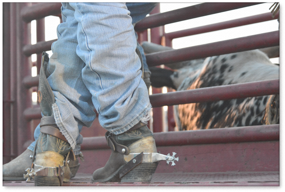 Bull Riding Spurs Canvas Print - Cowboy Boots Big Spurs (1024x1024), Png Download