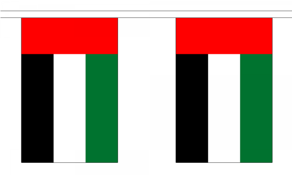United Arab Emirates Flag Bunting - Uae Flag Bunting Png (600x600), Png Download