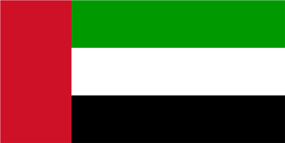 Flag Of United Arab Emirates - Uae National Flag (992x662), Png Download