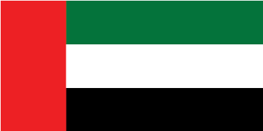 Import Summery Report United Arab Emirates - Bandera Emiratos Arabes Unidos (417x418), Png Download