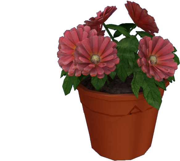 Download Zip Archive - Common Zinnia (750x650), Png Download