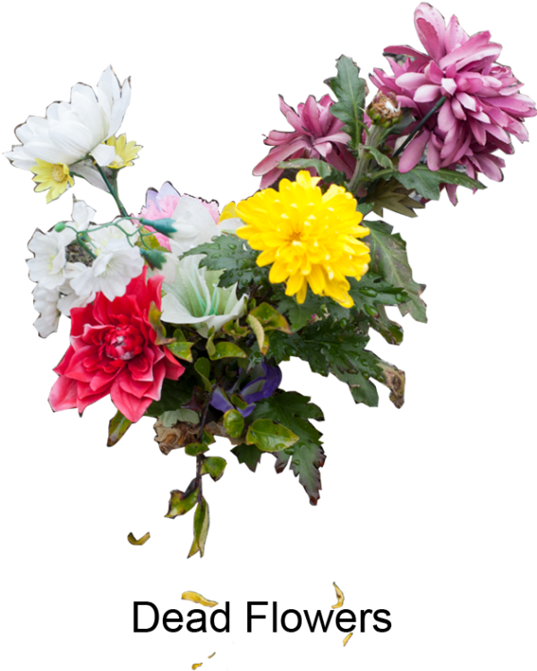 Portfolio - Bouquet (600x900), Png Download