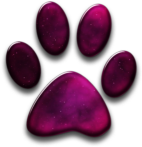 016197 Glossy Space Icon Animals Animal Cat Print - Paw (600x600), Png Download