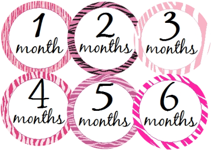 #one-pzb Pink Zebra Onesie® Labels - Circle (500x333), Png Download