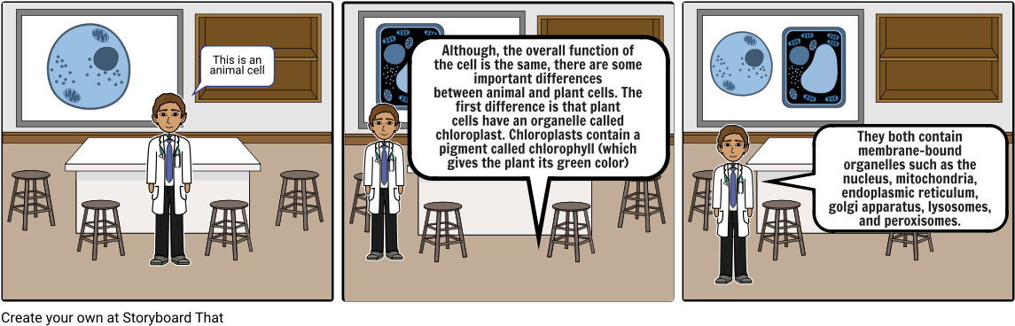 Plant And Animal Cells - Cartoon (1164x385), Png Download