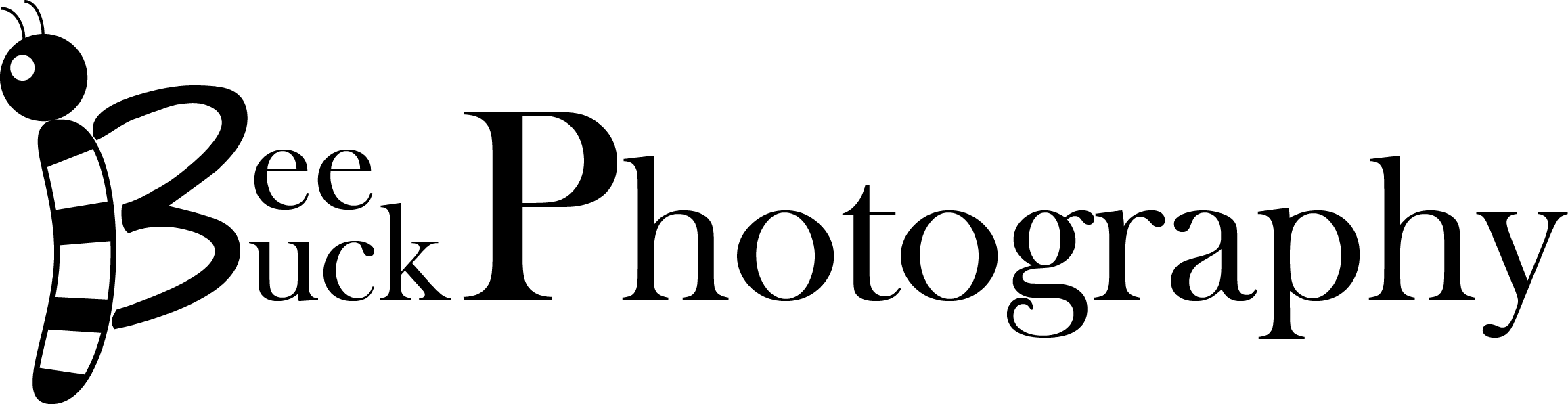 Bee Buck Photography - Paragraph Html (2317x597), Png Download