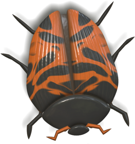 Ladybird Beetle (500x500), Png Download