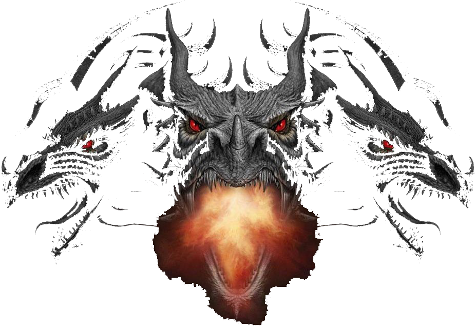 Dumbledorearmy Dragonface - Illustration (960x854), Png Download