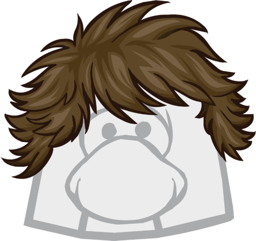 The Flip Clothing Icon Id 1162 - Club Penguin The Flip (509x480), Png Download