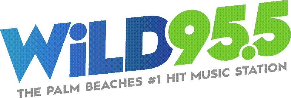 Wldi - Iheart - Platinum - Wild 95.5 Logo (960x326), Png Download