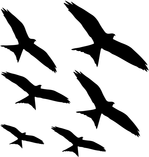 Ludosens Logo (600x600), Png Download