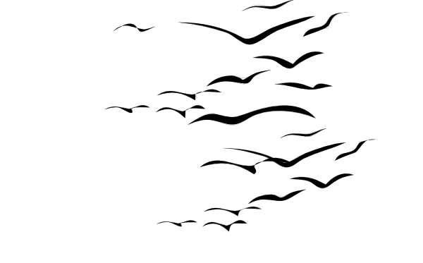 Bird Flock Svg Clip Arts 600 X 373 Px (600x373), Png Download
