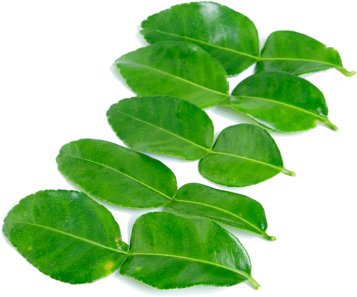 Kaffir Lime Leaves Png High-quality Image - Kaffir Lime Leaf Png (774x646), Png Download